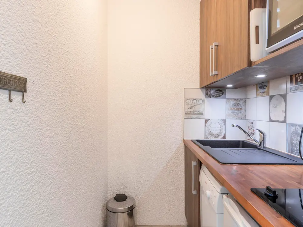 Location de Vacances Avoriaz 380
