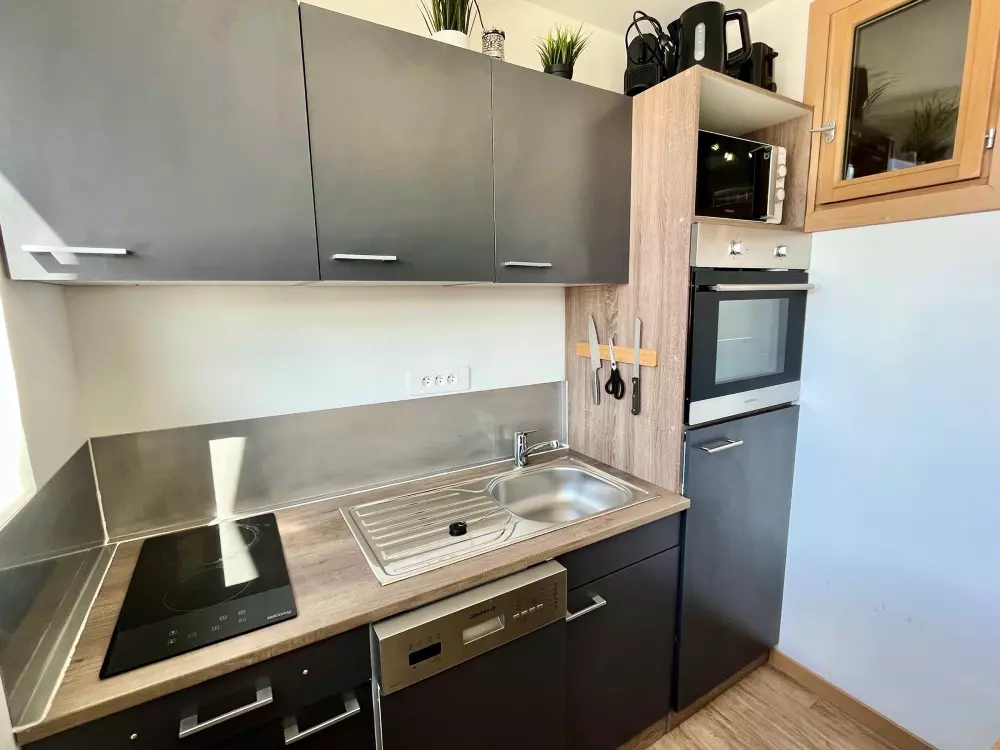 Location de Vacances Avoriaz 398