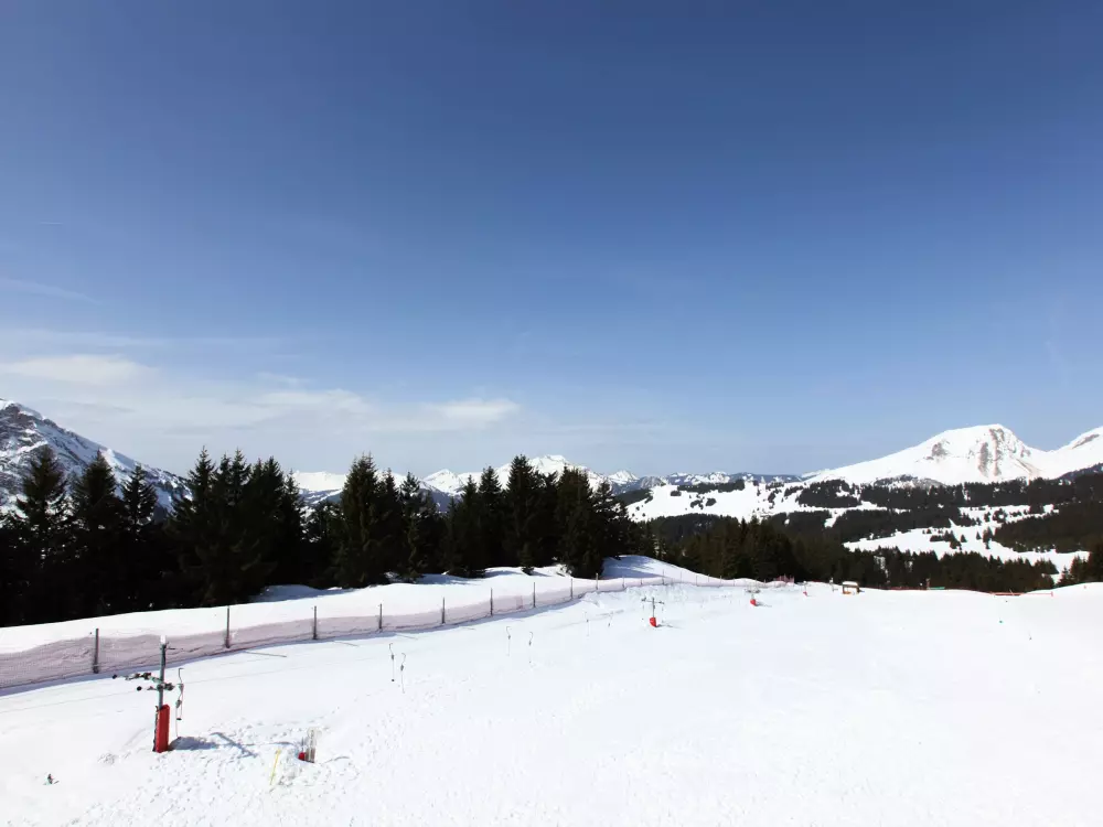 Location de Vacances Avoriaz 401