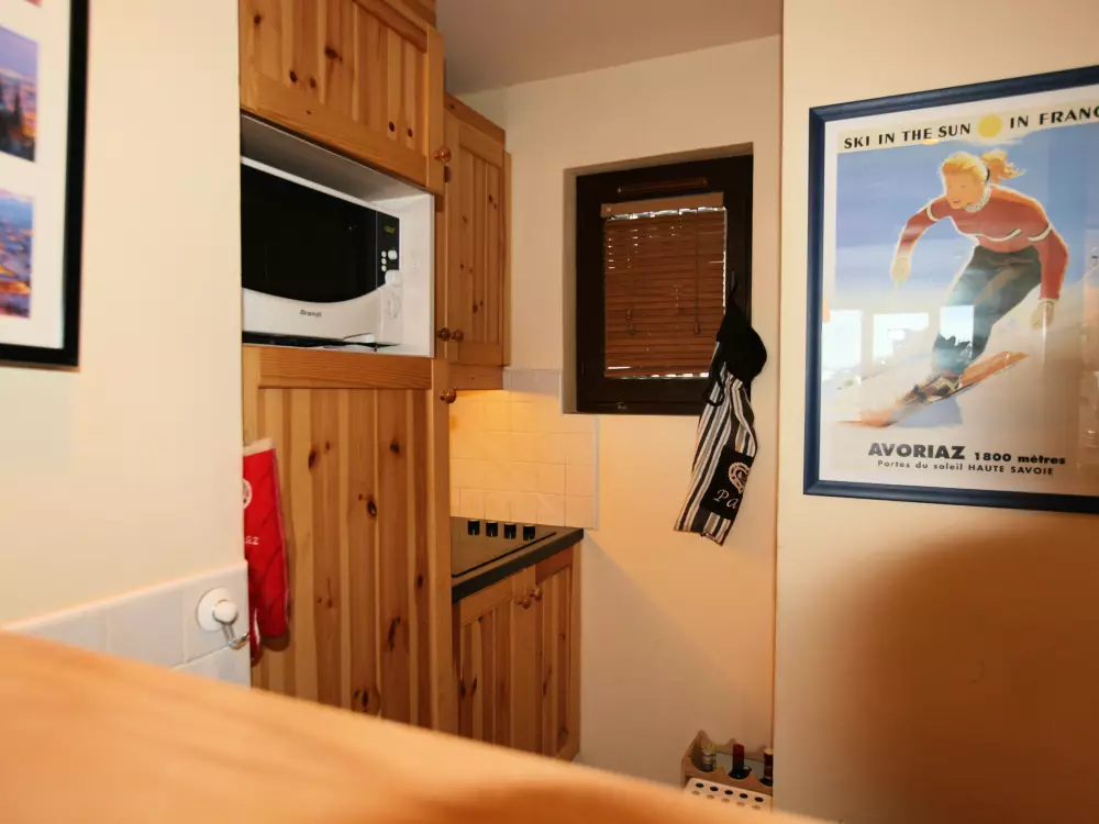 Location de Vacances Avoriaz 401