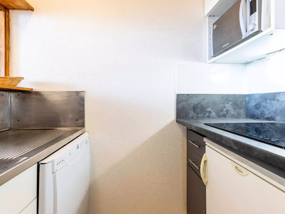 Location de Vacances Avoriaz 419