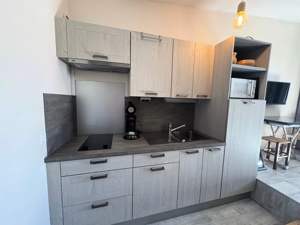 Location de Vacances Avoriaz 425