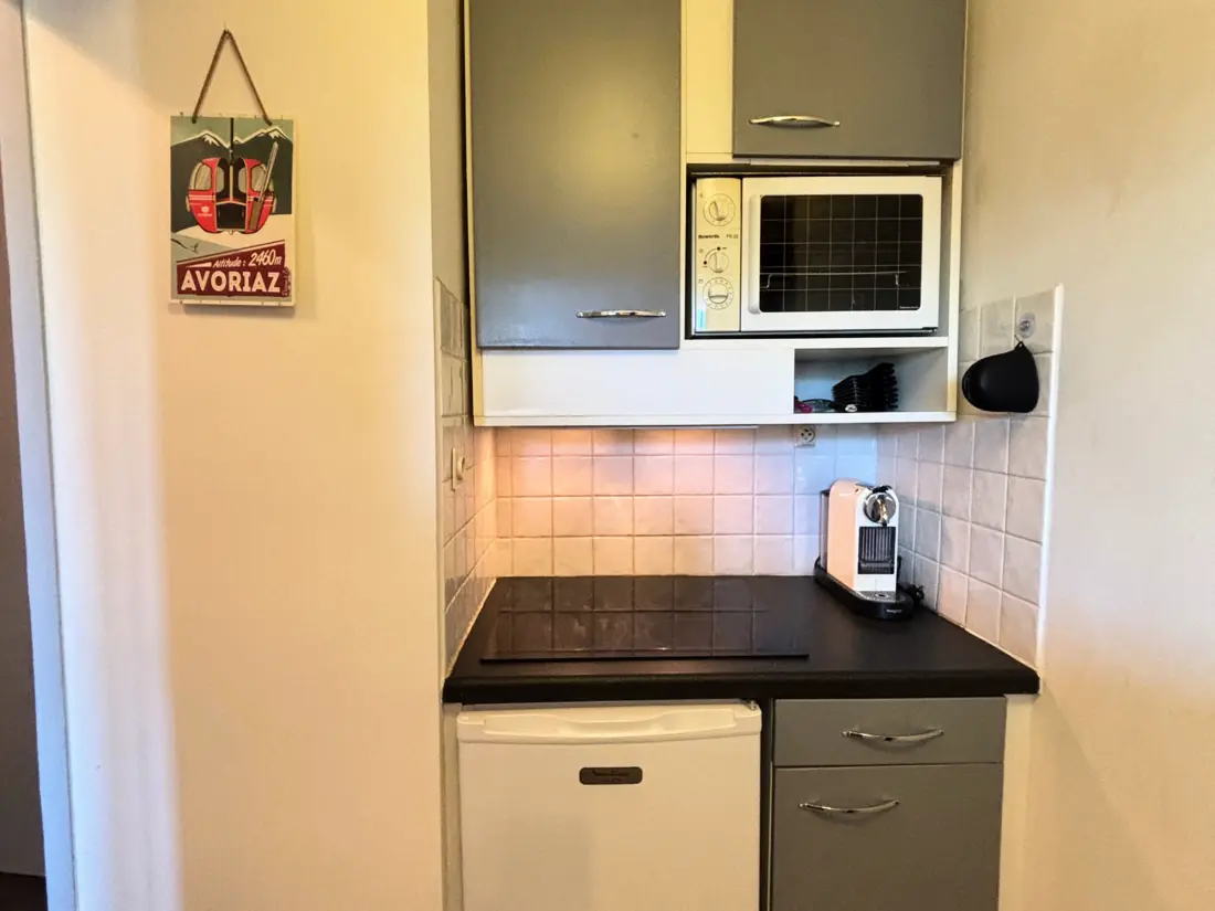 Location de Vacances Avoriaz 432