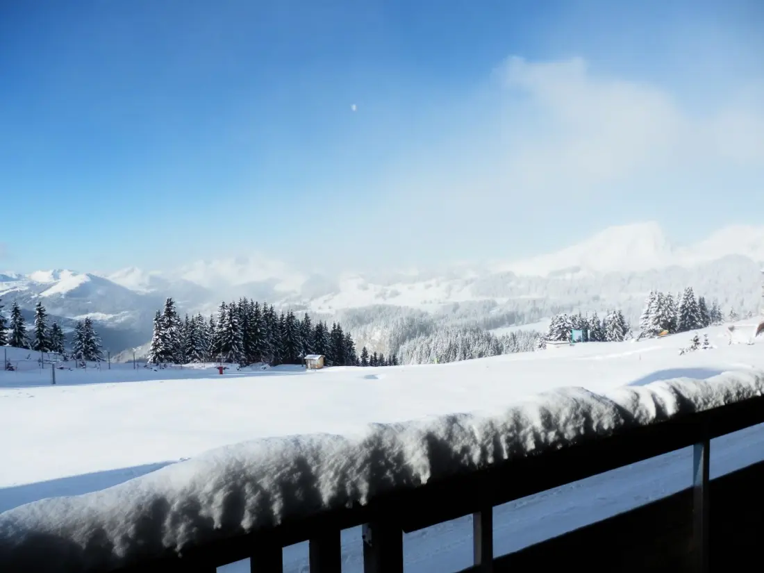 Location de Vacances Avoriaz 48
