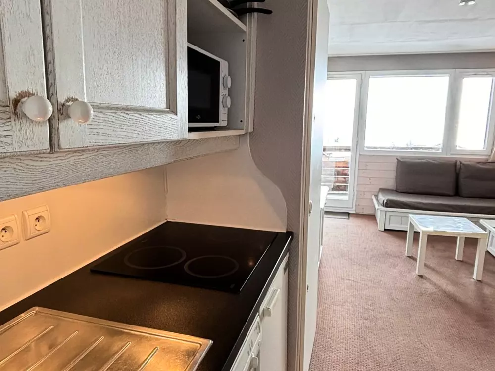 Location de Vacances Avoriaz 49