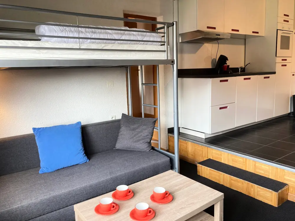 Location de Vacances Avoriaz 55