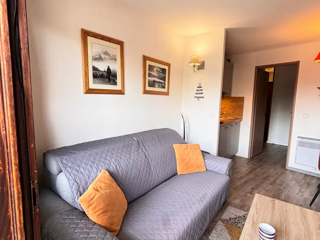 Location de Vacances Avoriaz 65