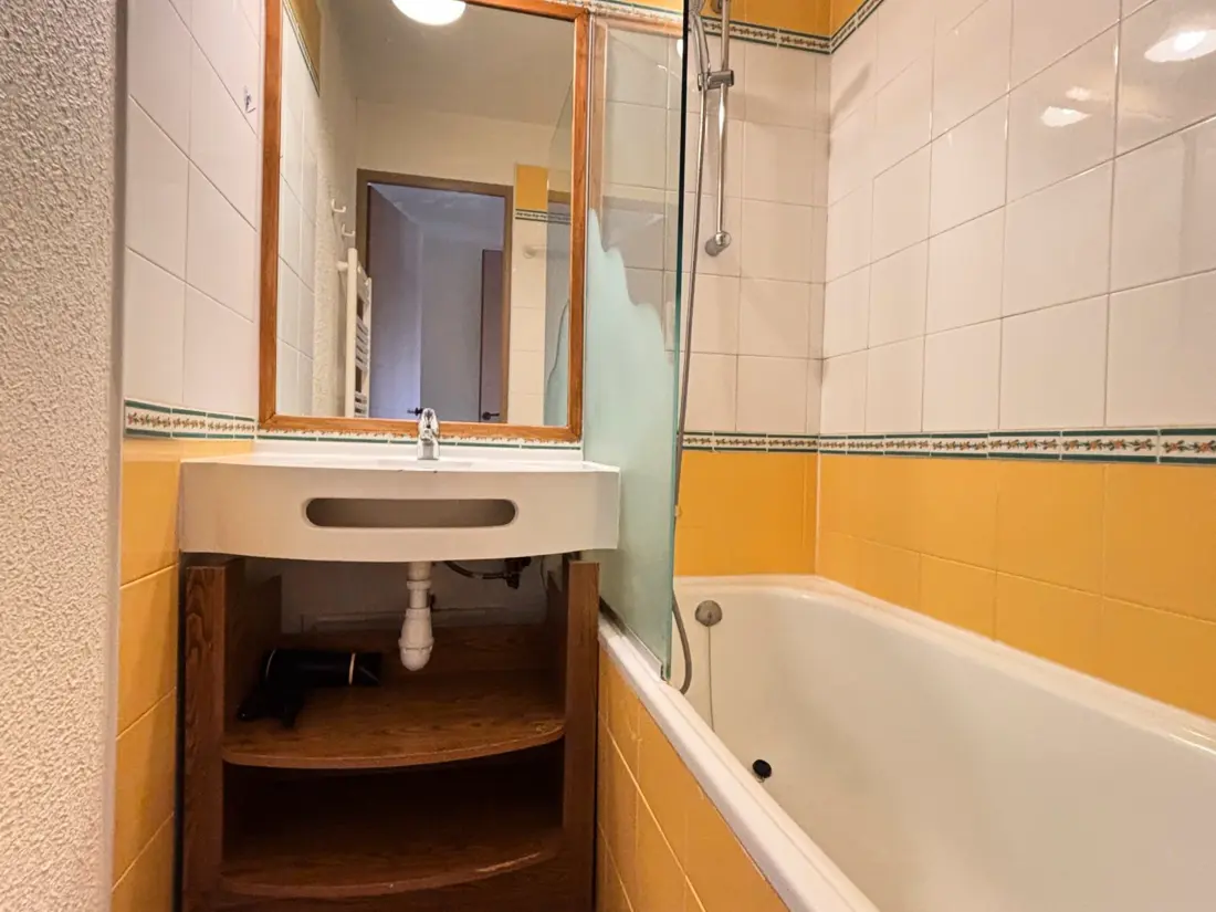 Location de Vacances Avoriaz 65