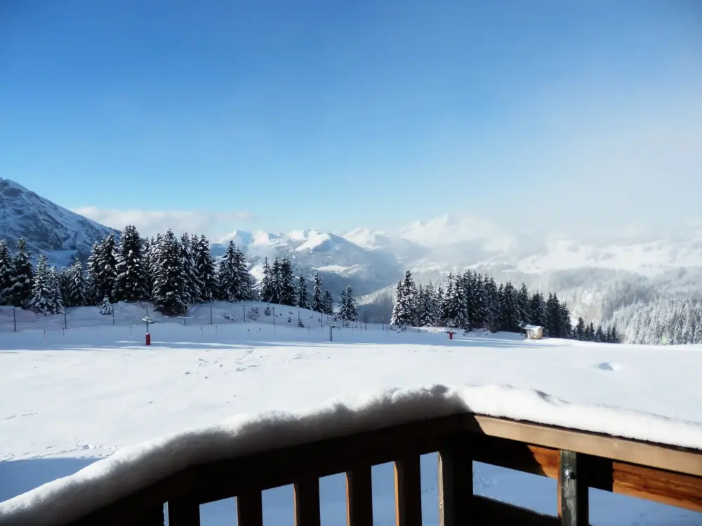 Location de Vacances Avoriaz 68