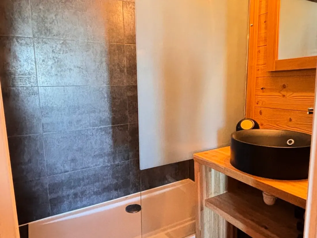 Location de Vacances Avoriaz 77