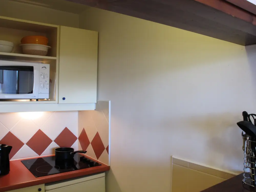 Location de Vacances Avoriaz 88