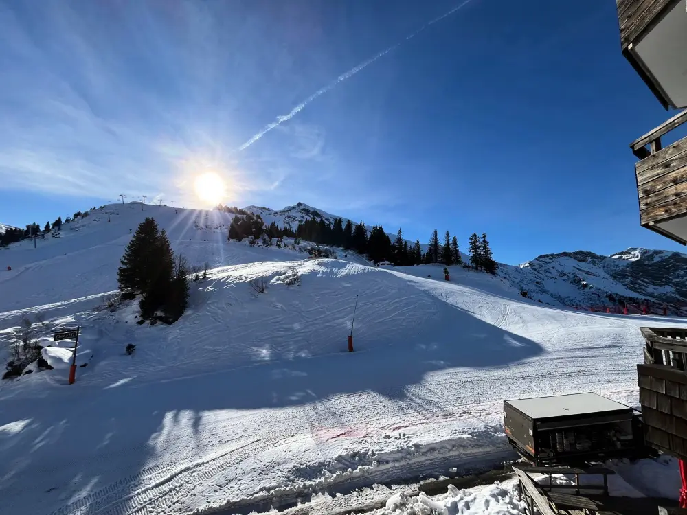 Location de Vacances Avoriaz 9