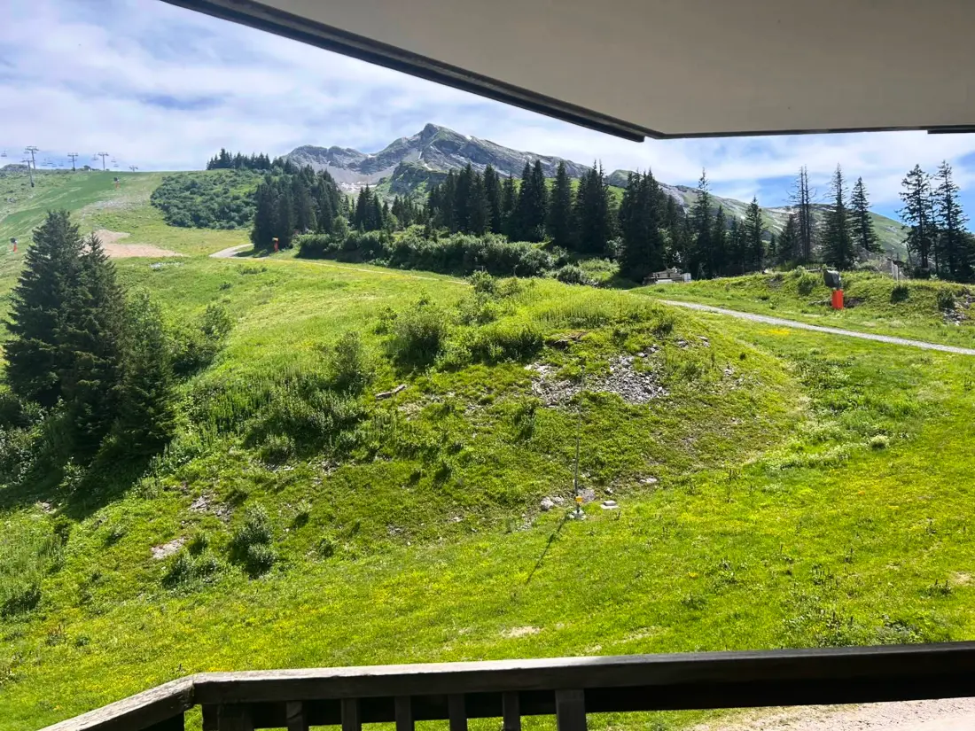 Location de Vacances Avoriaz 9