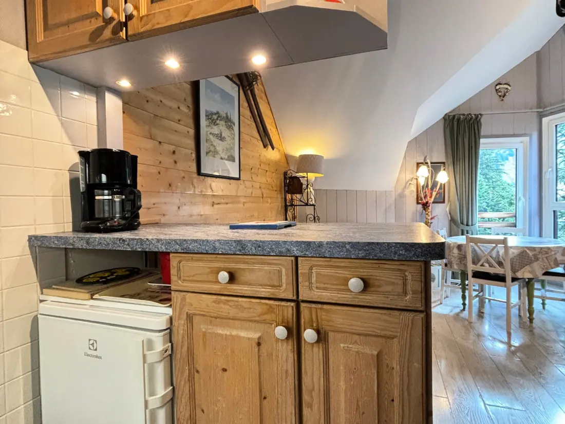 Location de Vacances Avoriaz 97