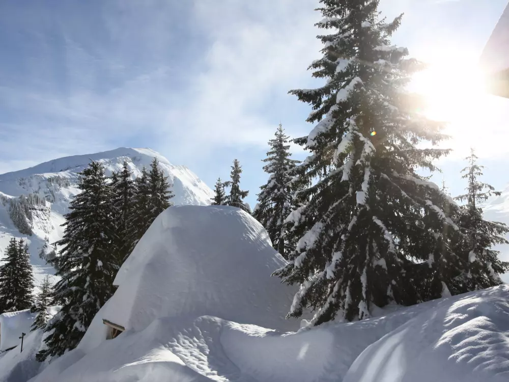 Maison de Vacances Avoriaz 343