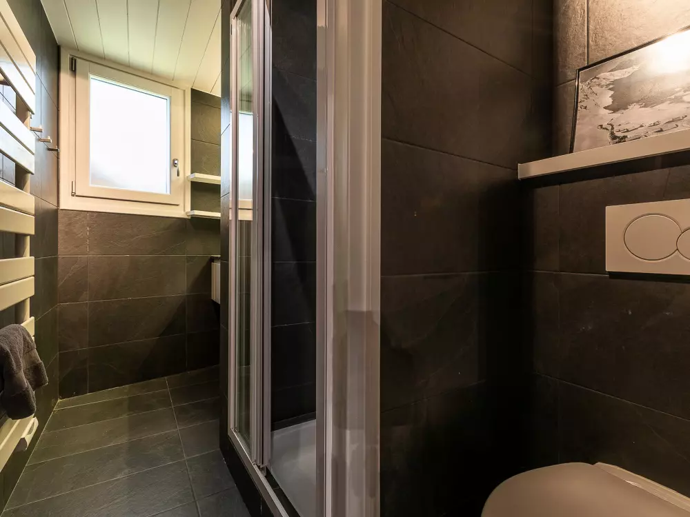 Maison de Vacances Avoriaz 343