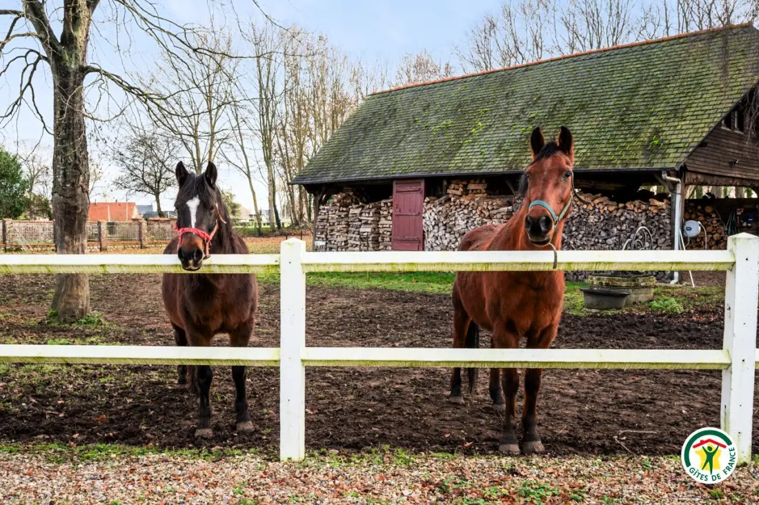 Gîte de France Gîtes de france® - gîte de beaufournier 3 épis