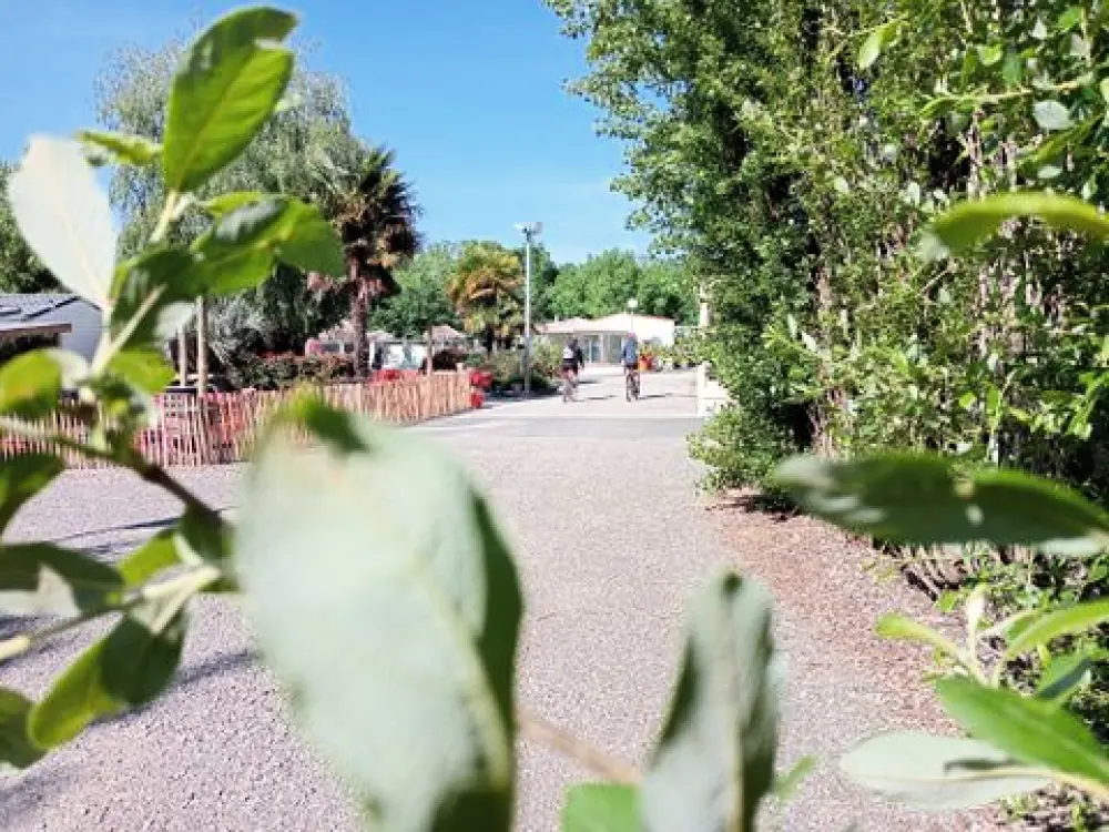 Camping Les Mancellieres 4 étoiles★★★★