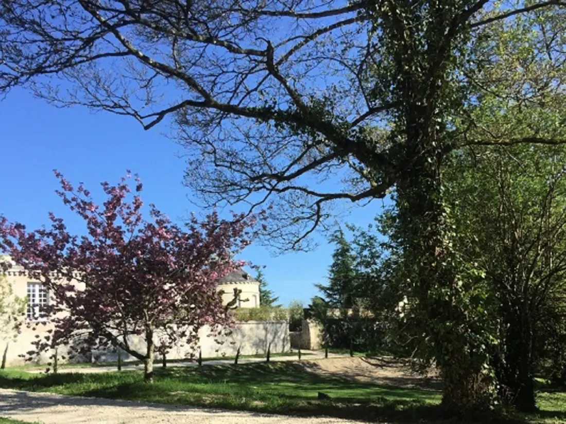 Résidence Cottage Parc 70m2 mit Pool in Azay le rideau