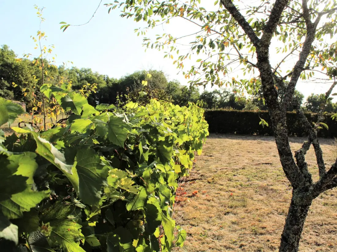 Maison de Vacances AZERAT