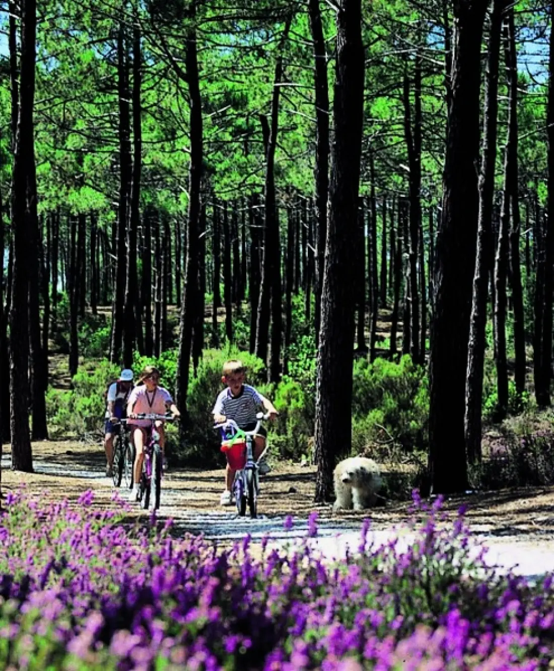 Camping Azu'rivage
