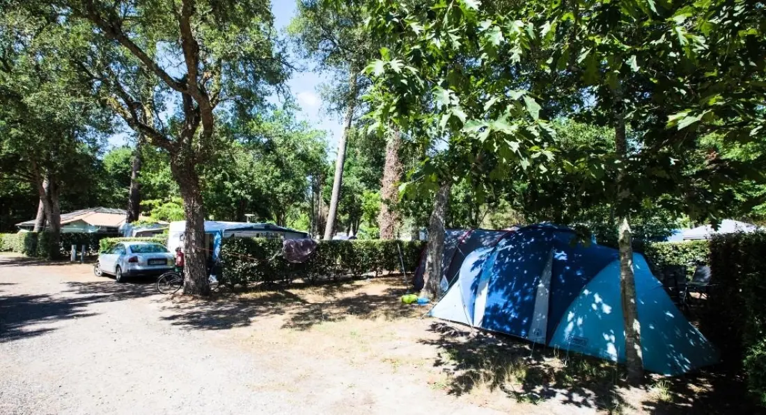 Camping LANDES AZUR 4 étoiles★★★★