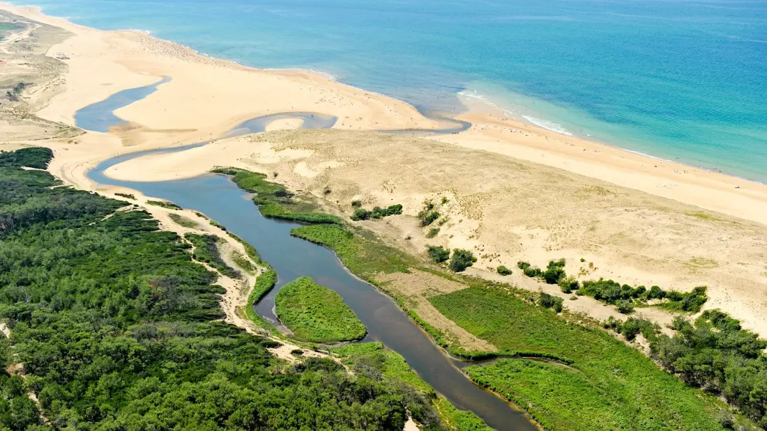 Camping LANDES AZUR 4 étoiles★★★★