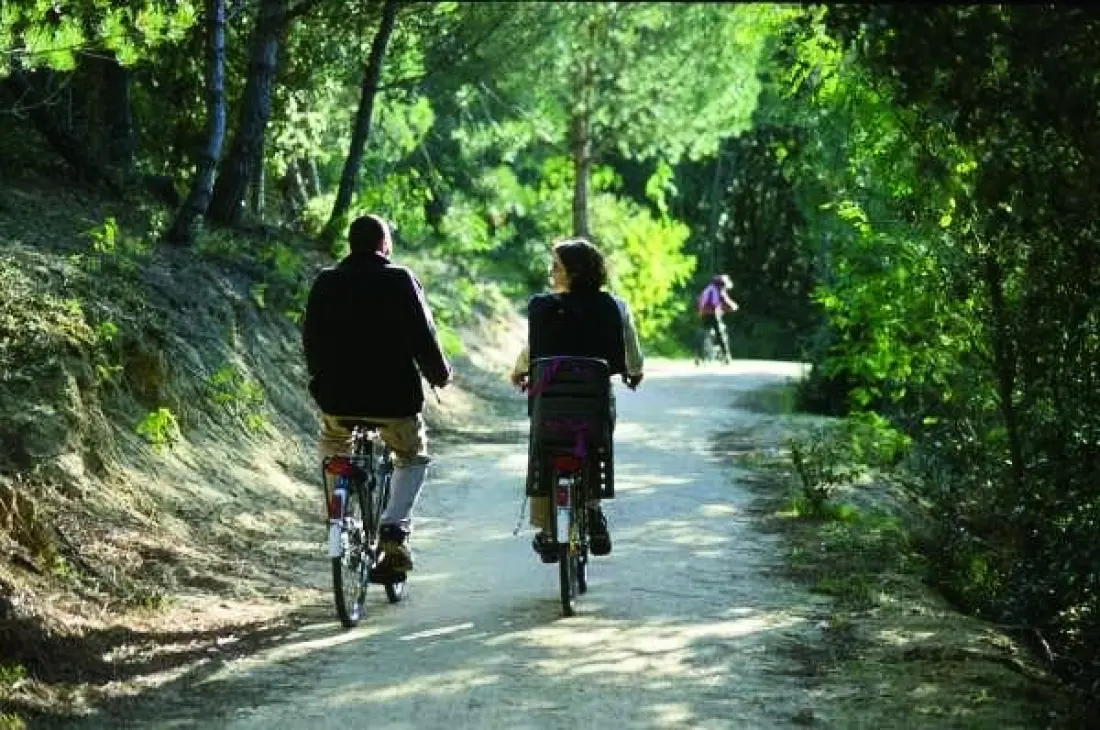 Camping LANDES AZUR 4 étoiles★★★★