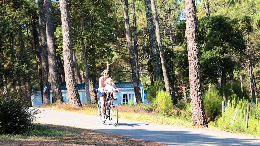 Camping LANDES AZUR 4 étoiles★★★★