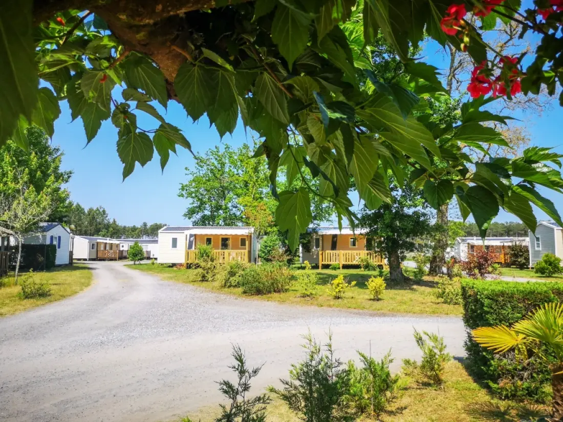 Camping LANDES AZUR 4 étoiles★★★★