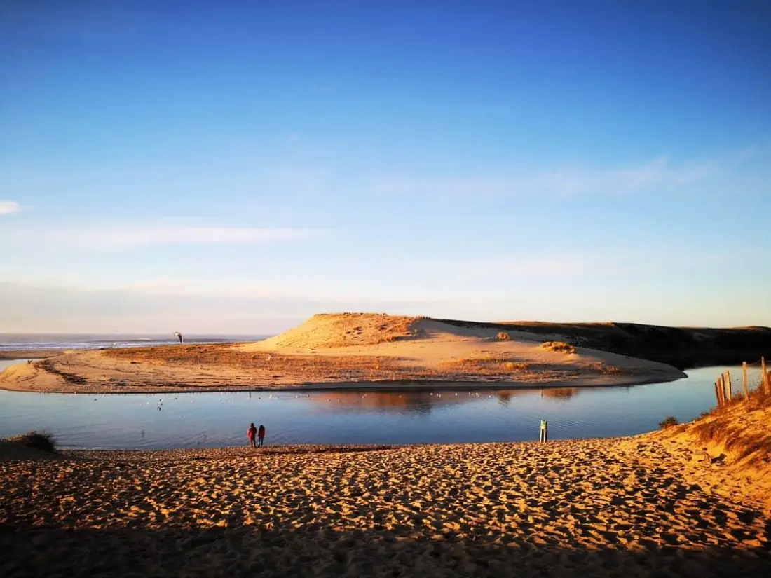 Camping LANDES AZUR 4 étoiles★★★★