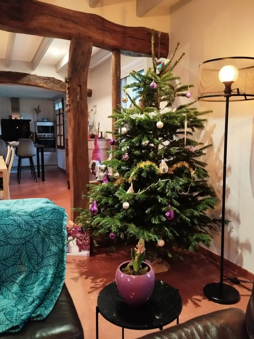 Gîte de France Gîtes de france® - les cerisiers d'ablemont 3 épis