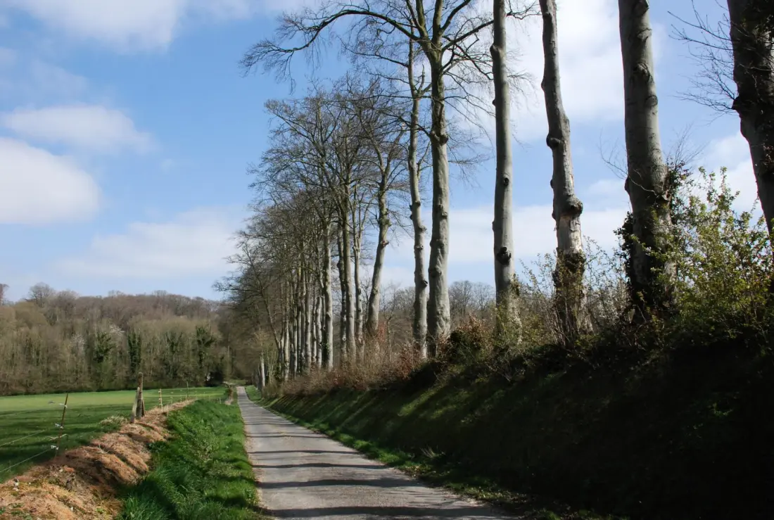 Gîte de France Gîtes de france® - les cerisiers d'ablemont 3 épis