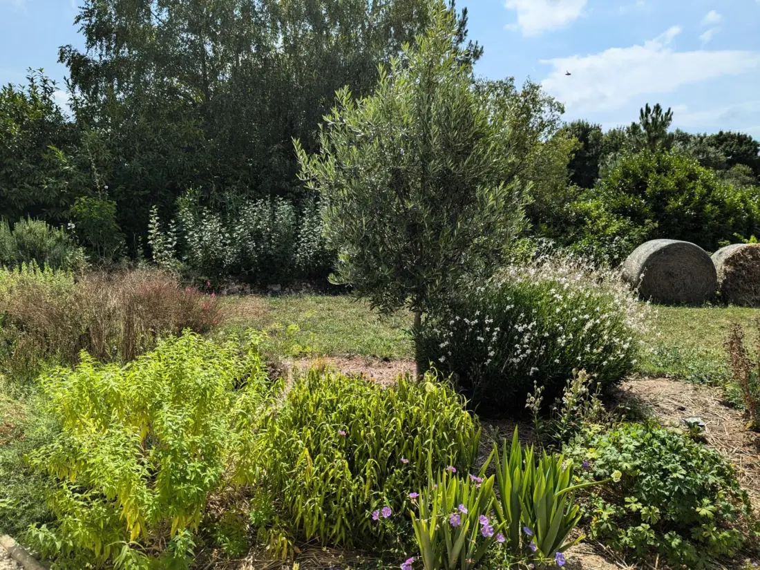 Maison de Vacances Baignes-Sainte-Radegonde 4