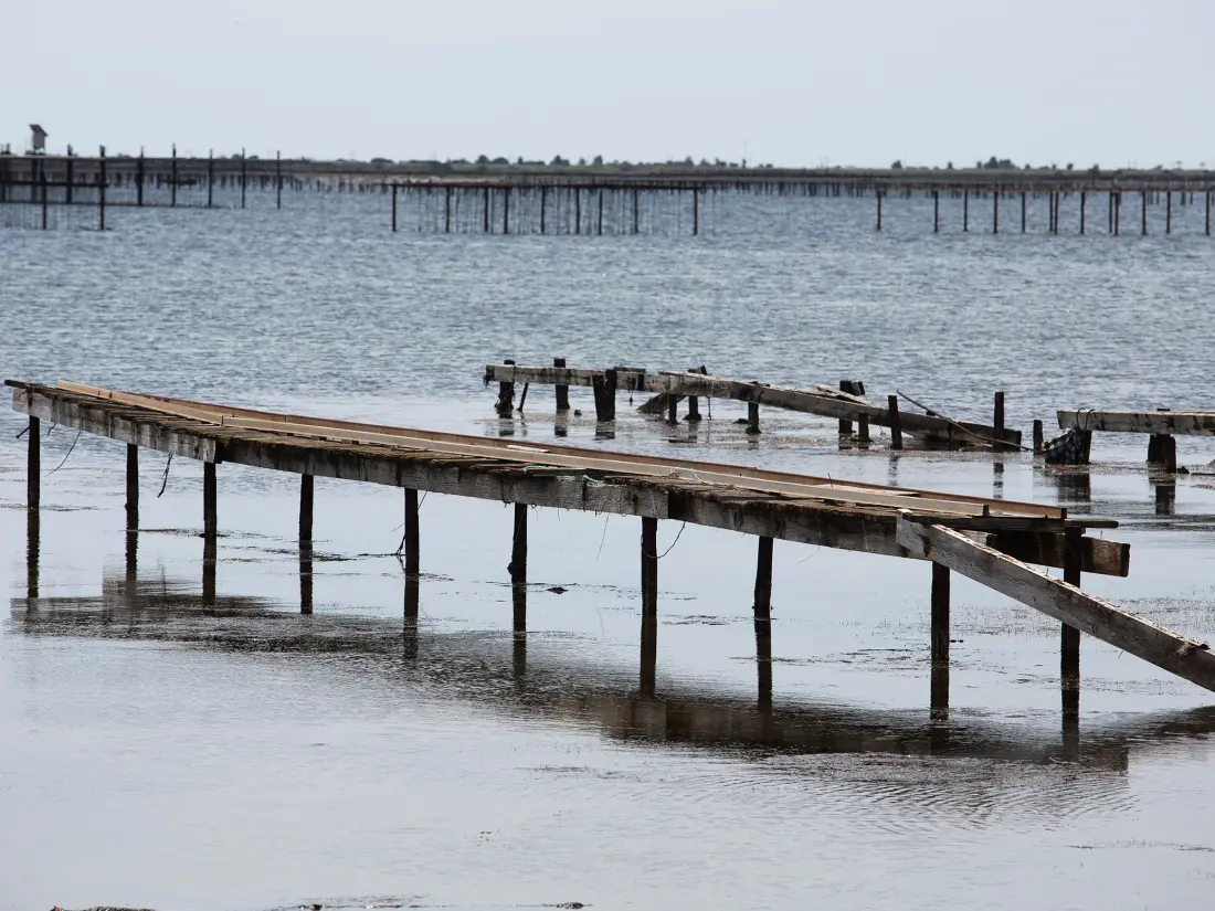 Location de Vacances Balaruc-les-Bains 110