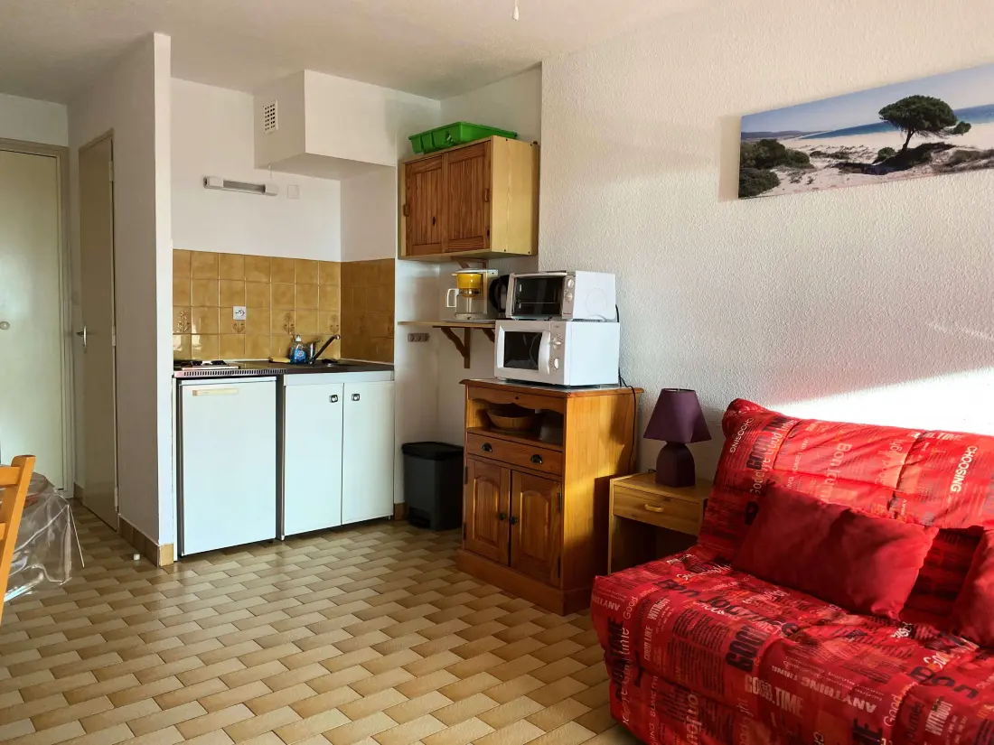 Location de Vacances Balaruc-les-Bains 603