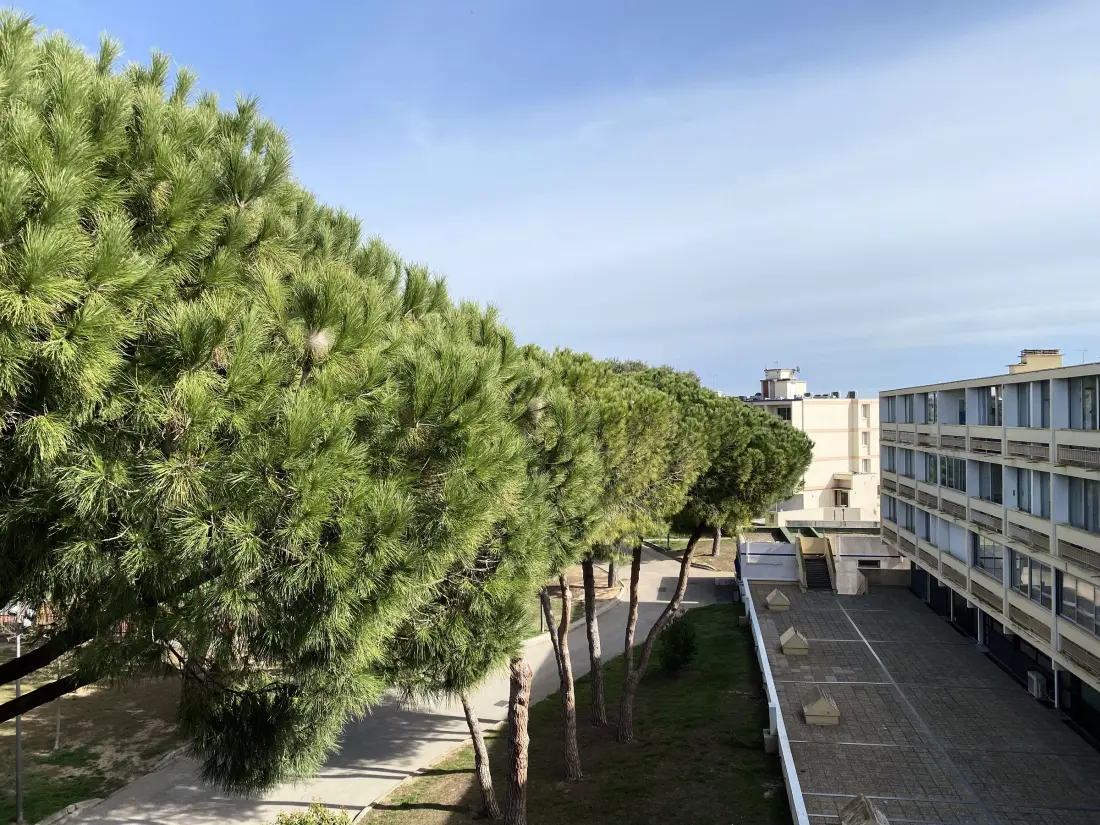 Location de Vacances Balaruc-les-Bains 674