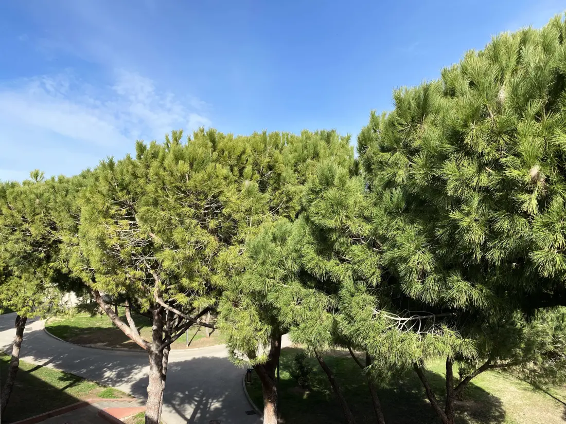 Location de Vacances Balaruc-les-Bains 674