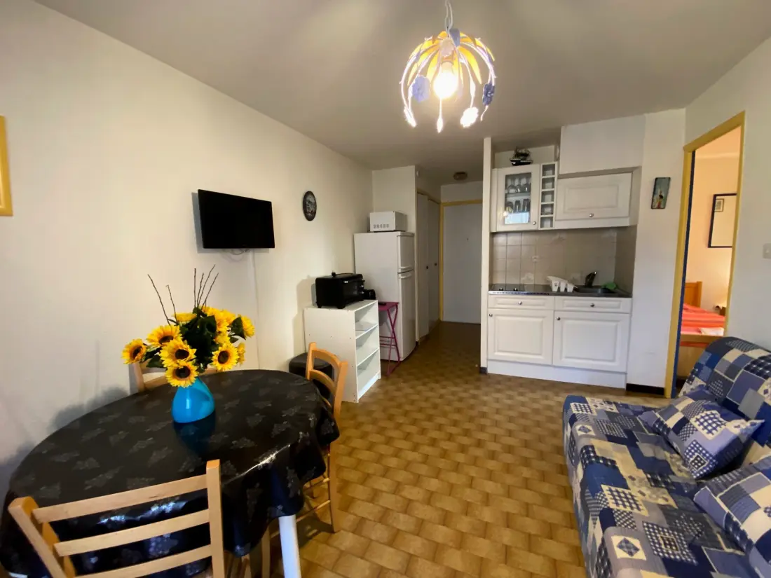 Location de Vacances Balaruc-les-Bains 677
