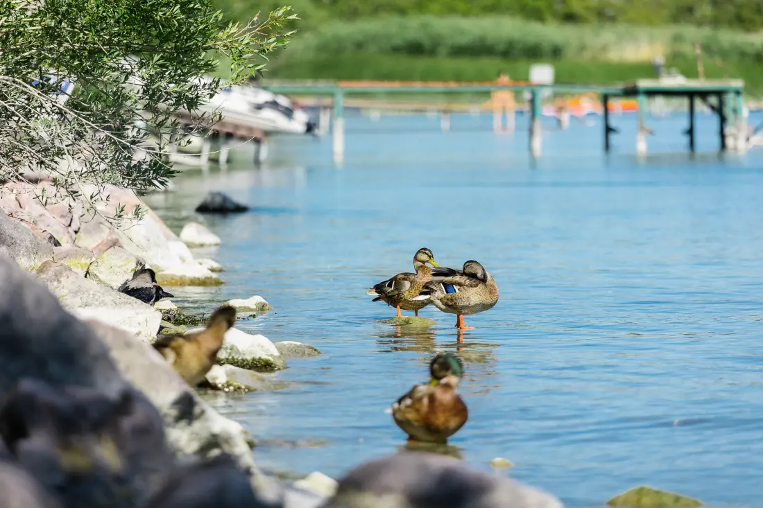 Camping Strand-Holiday 3 étoiles★★★