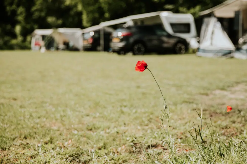 Campingbedrijf Si-Es-An