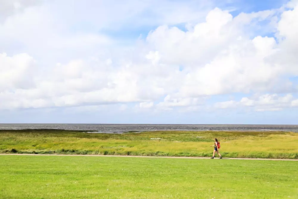 Ballum Camping 3 étoiles★★★