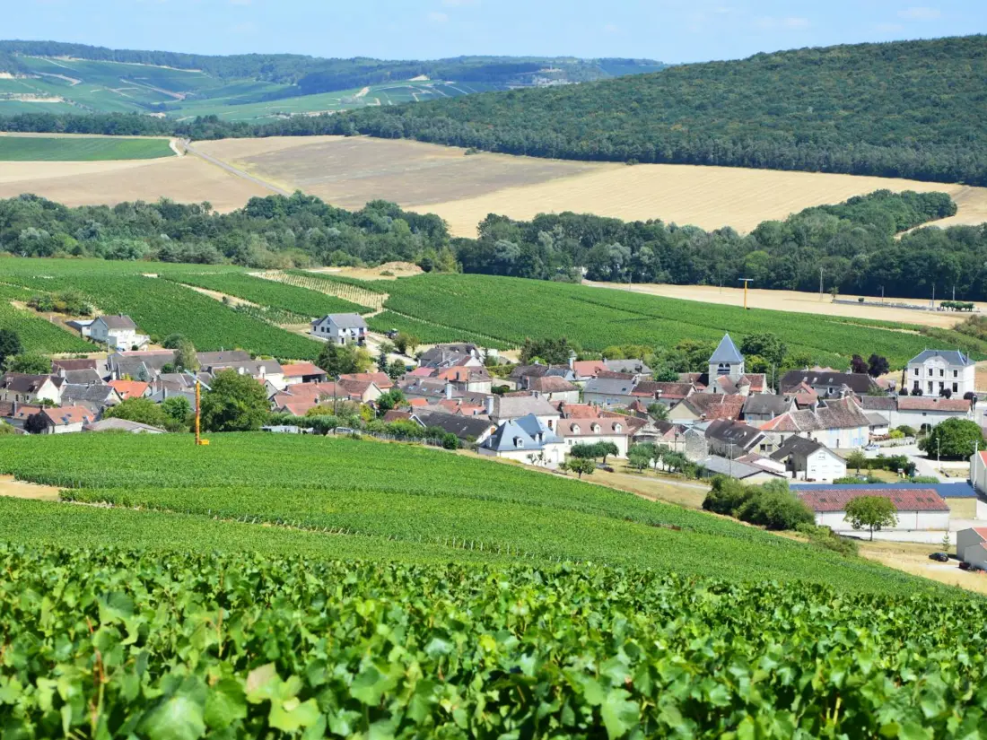 Maison de Vacances Balnot-sur-Laignes 4