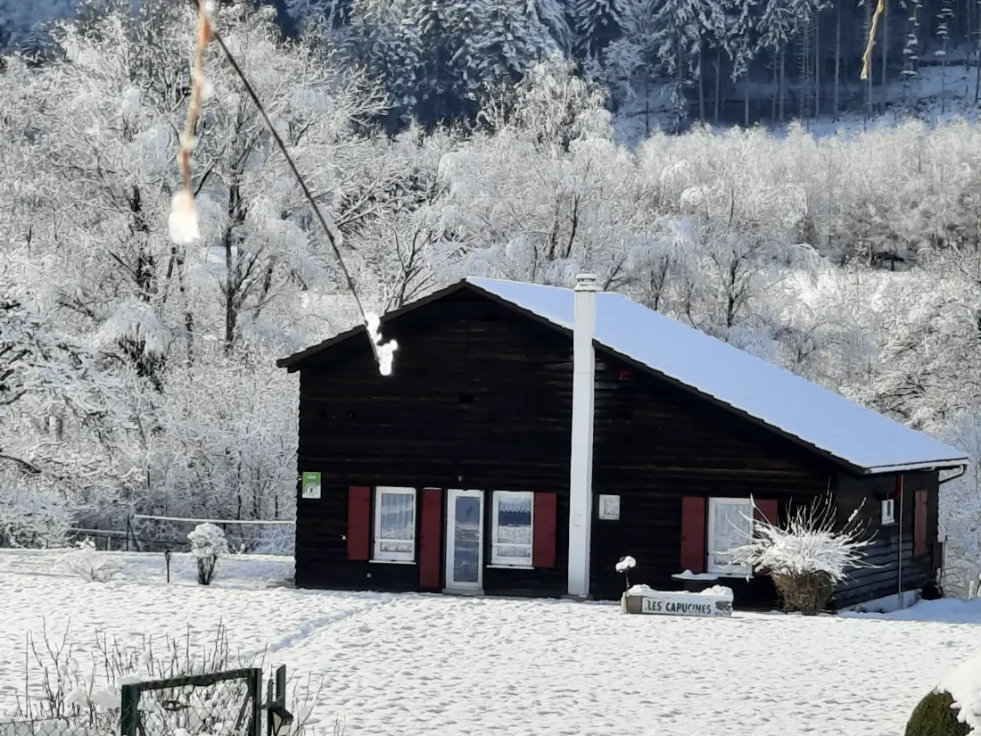 Maison de Vacances Ban-sur-Meurthe-Clefcy 3