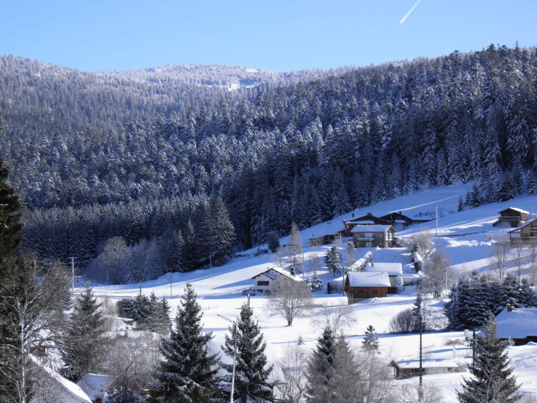 Maison de Vacances Ban-sur-Meurthe-Clefcy 5