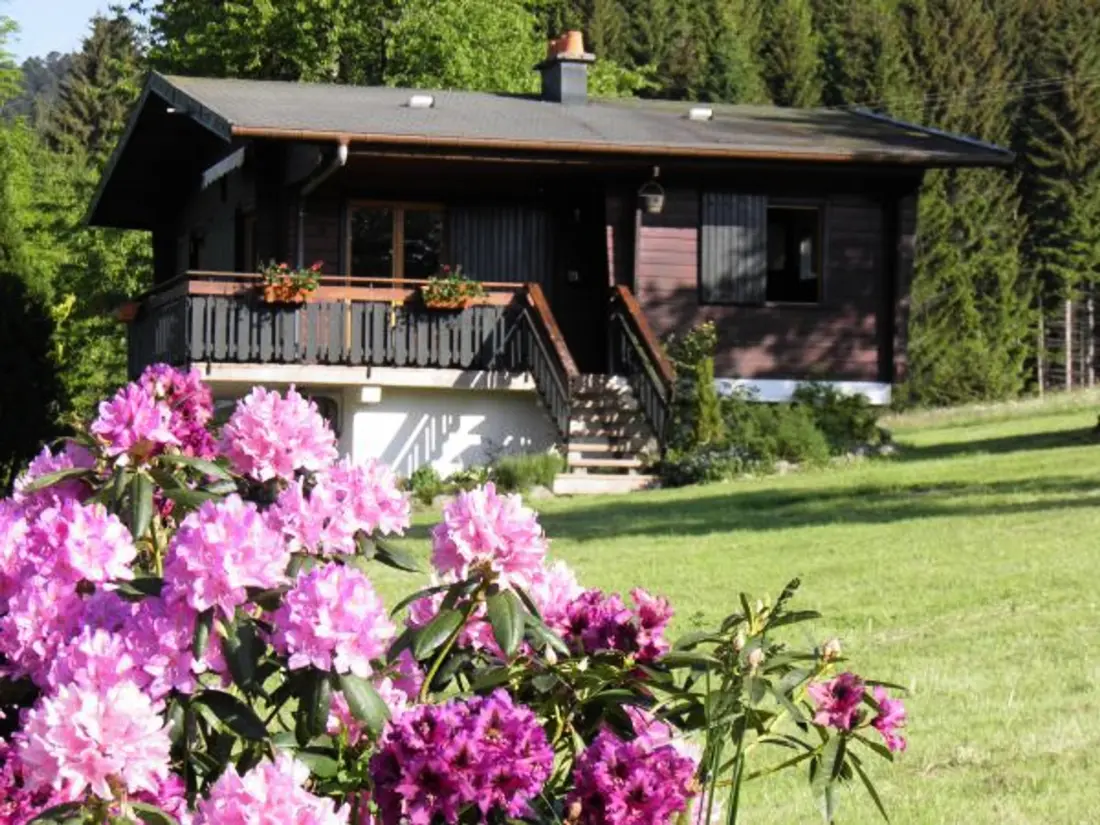 Maison de Vacances Ban-sur-Meurthe-Clefcy 5