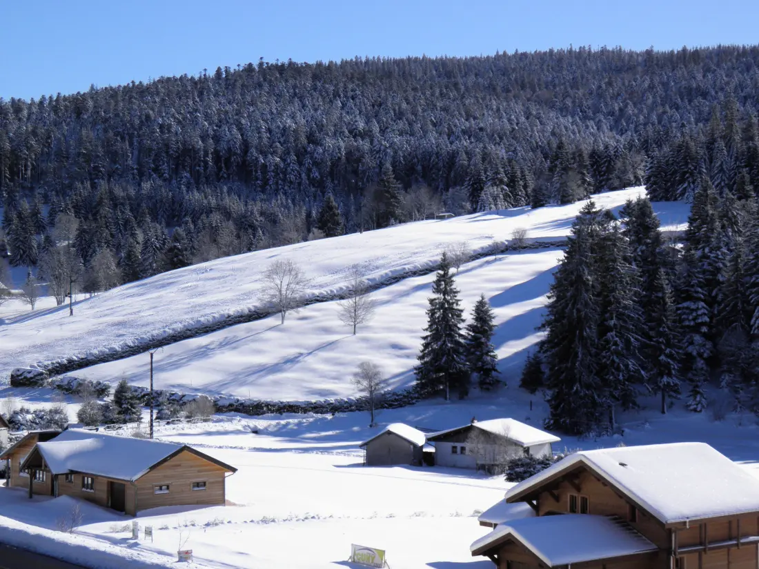 Maison de Vacances Ban-sur-Meurthe-Clefcy 5