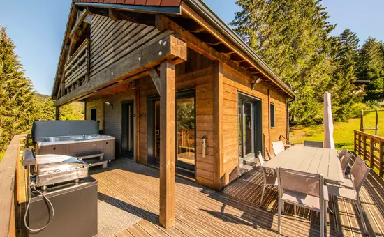 Maison de Vacances Ban-sur-Meurthe-Clefcy 8