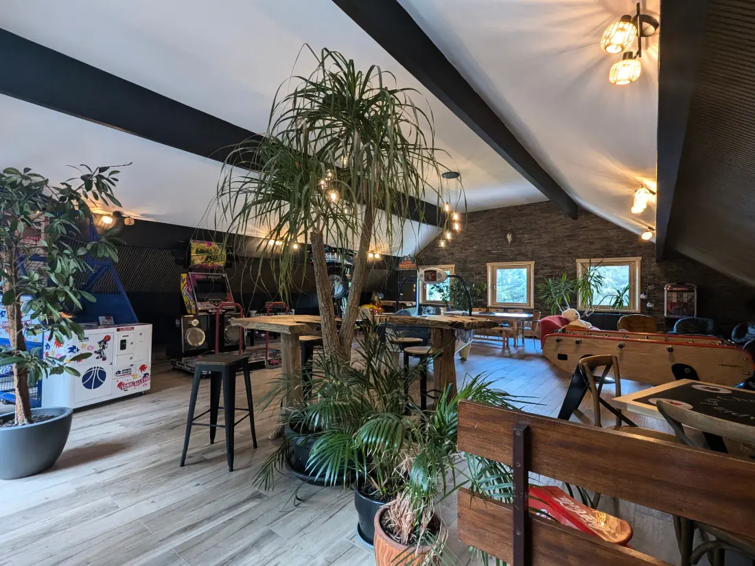 Maison de Vacances Ban-sur-Meurthe-Clefcy 9