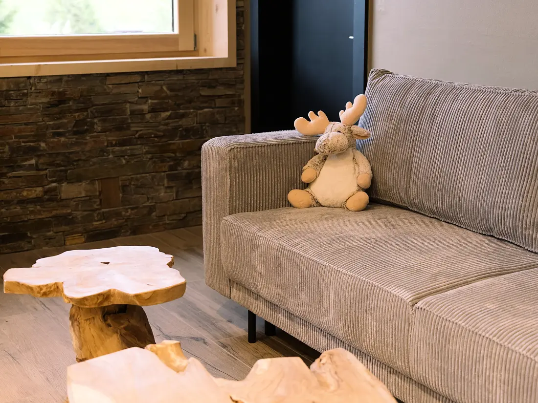 Maison de Vacances Ban-sur-Meurthe-Clefcy 9